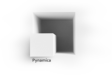 Pynamica